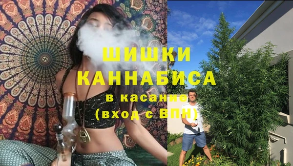 2c-b Инта