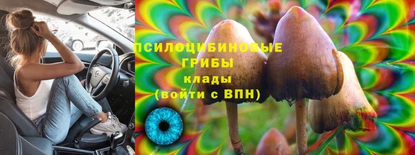 2c-b Инта
