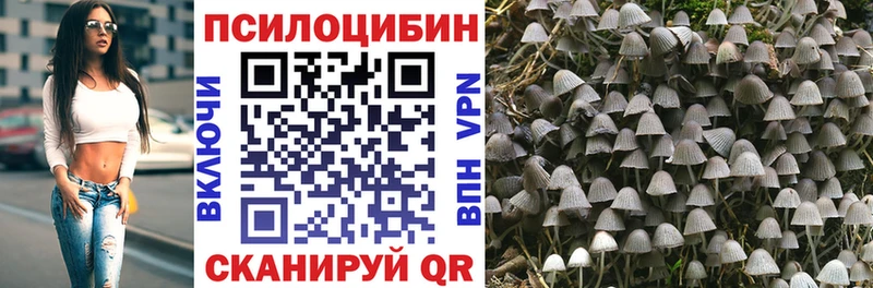 Псилоцибиновые грибы Magic Shrooms  Купить  Шарья 